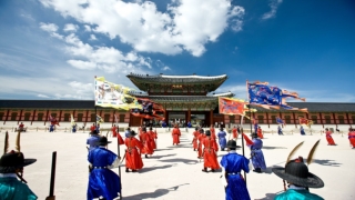 Unforgettable Family Trips in Korea