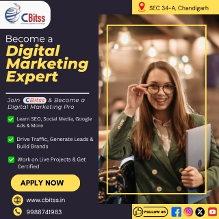 Digital Marketing Course in Chandigarh | SEO, PPC & Social Media Training