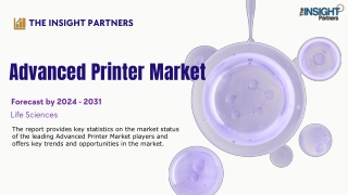 the insight partners