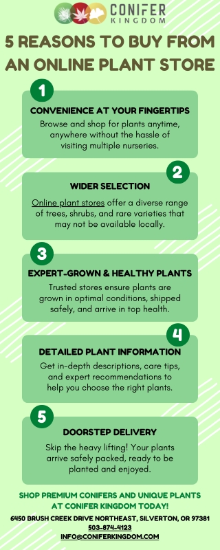 Why Choose an Online Plant Store for Your Garden?
