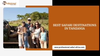 Best Safari Destinations In Tanzania