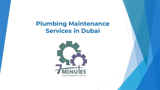 Plumbing Maintenance Services in Dubai
