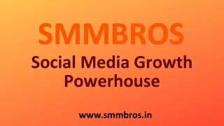 Boost Your Social Media Growth with SMMBros