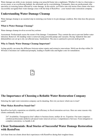 Client Testimonials: Real Stories of Successful Water Damage Restoration with Re