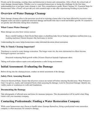 Water Cleanup 101: Essential Steps for Homeowners After a Flood