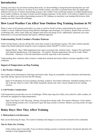 How Local Weather Can Affect Your Outdoor Dog Training Sessions in NC