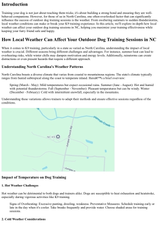 How Local Weather Can Affect Your Outdoor Dog Training Sessions in NC