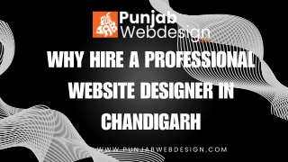 Why Hire a Professional Website Designer in Chandigarh