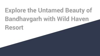 Explore the Untamed Beauty of Bandhavgarh with Wild Haven Resort