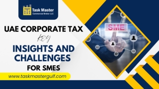 UAE Corporate Tax in 2025 Key Insights and Challenges for SMEs