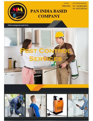 Cockroach Treatment in Ahmedabad – Affordable & Effective Solutions