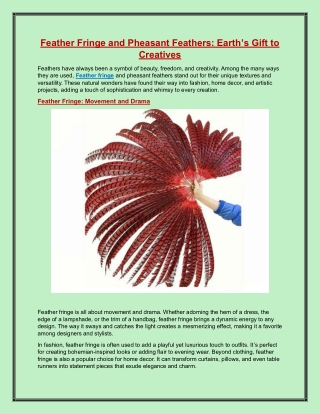 Feather Fringe and Pheasant Feathers Earth’s Gift to Creatives