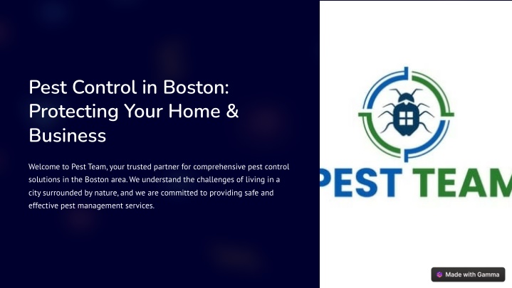 pest control in boston protecting your home