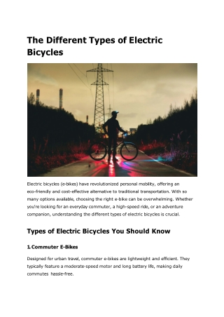 The Different Types of Electric Bicycles at Huse (1)