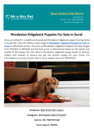 Rhodesian Ridgeback Puppies For Sale In Surat