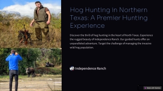Hog Hunting in Northern Texas: A Premier Hunting Experience