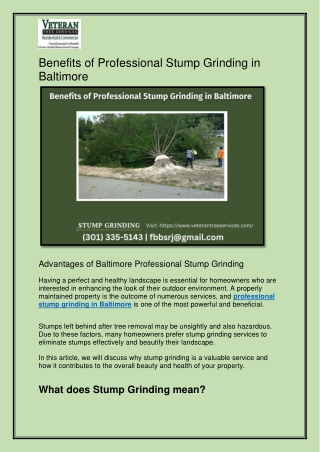 Benefits of Professional Stump Grinding in Baltimore
