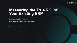 Measuring the True ROI of Your Existing ERP | Contetra