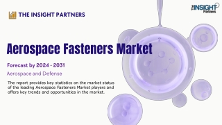 the insight partners