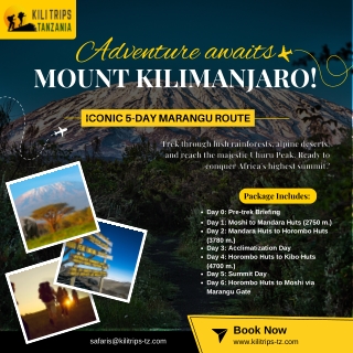 adventure awaits mount kilimanjaro