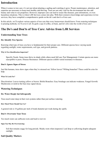 The Do’s and Don'ts of Tree Care: Advice from LJR Services