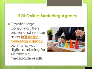 ROI Online Marketing Agency