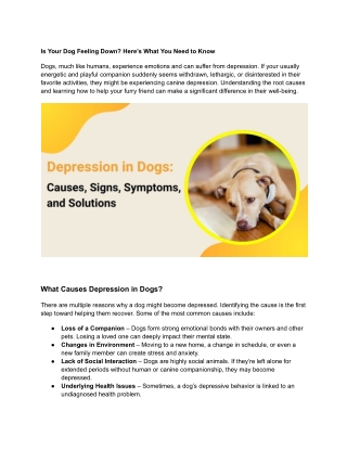 is your dog feeling down here s what you need