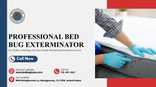 Professional Bed Bug Exterminator in Texas | Bed Bug Texas Experts