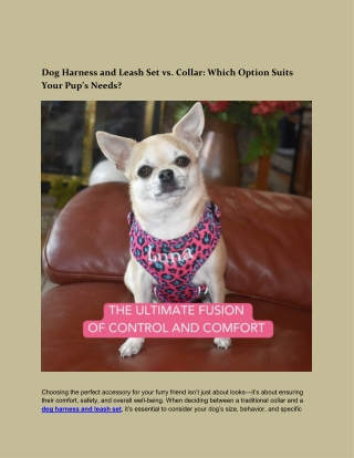 Dog Harness and Leash Set vs. Collar Which Option Suits Your Pup’s Needs