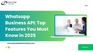 whatsapp business api top features you must know