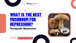 The Best Therapeutic Mushrooms for Depression