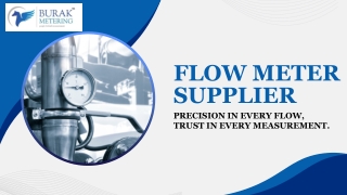 flow meter supplier