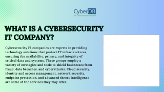 what is a cybersecurity it company it company