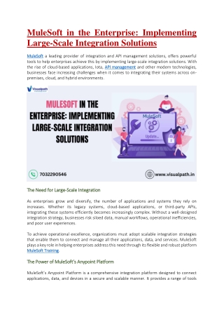 mulesoft in the enterprise implementing large