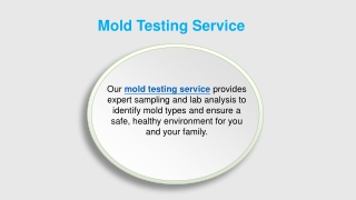 Mold Testing Service