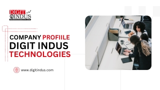 companyprofiile digit indus technologies