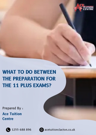 What to do Between the Preparation for the 11 Plus Exams