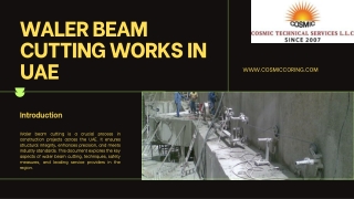 Expert Pile Head Demolition in Dubai – Cosmic Technical Service