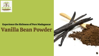 Experience the Richness of Pure Madagascar Vanilla Bean Powder
