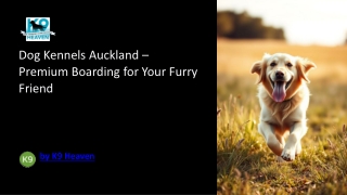 Dog Kennels Auckland – Premium Boarding for Your Furry Friend