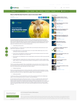 how-to-find-the-best-food-for-cows-to-increase-milk