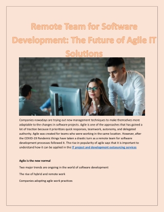 remote team for software development the future