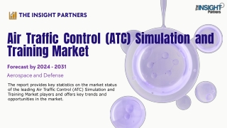 the insight partners
