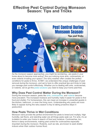 Effective Pest Control During Monsoon Season: Tips and Tricks
