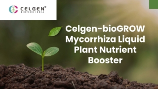 Give your plant a better life with our Organic Mycorrhiza Fertilizer
