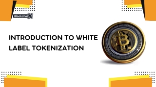 introduction to white