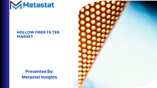hollow fiber filter market