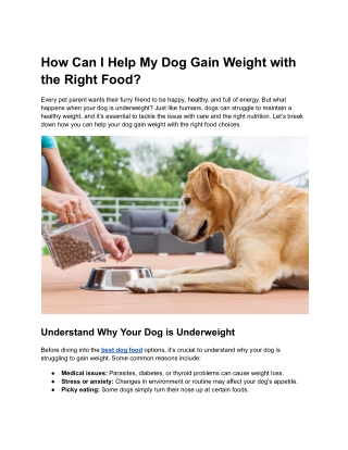 How Can I Help My Dog Gain Weight with the Right Food?