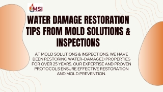 Water Damage Restoration Tips from Mold Solutions & Inspections