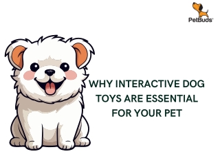 why interactive dog toys are essential for your